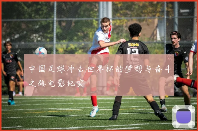 中国足球冲击世界杯的梦想与奋斗之路电影纪实