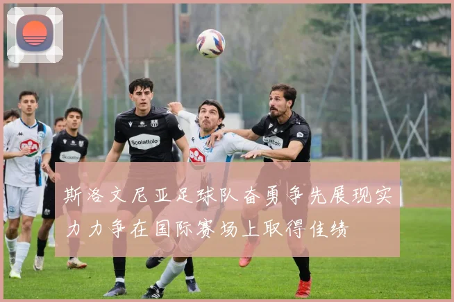 斯洛文尼亚足球队奋勇争先展现实力力争在国际赛场上取得佳绩