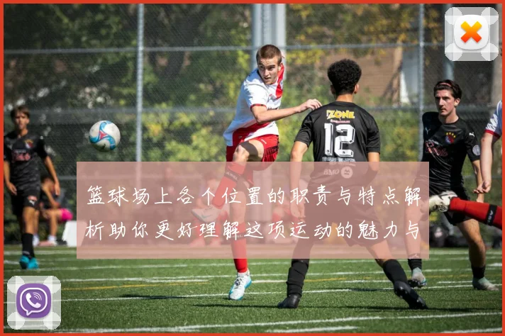 篮球场上各个位置的职责与特点解析助你更好理解这项运动的魅力与战术