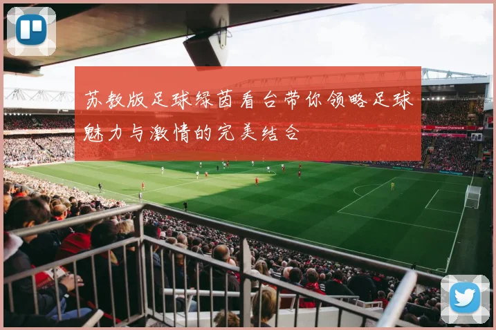 苏教版足球绿茵看台带你领略足球魅力与激情的完美结合