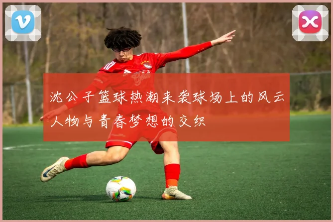 沈公子篮球热潮来袭球场上的风云人物与青春梦想的交织
