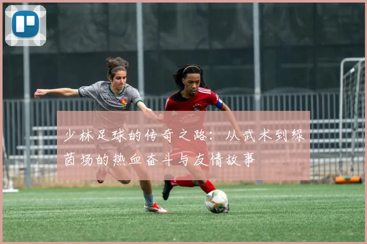 少林足球的传奇之路：从武术到绿茵场的热血奋斗与友情故事